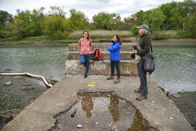 Three authors of the wetlands report, visiting a restoration on Fresh Creek, May 11th, 2021